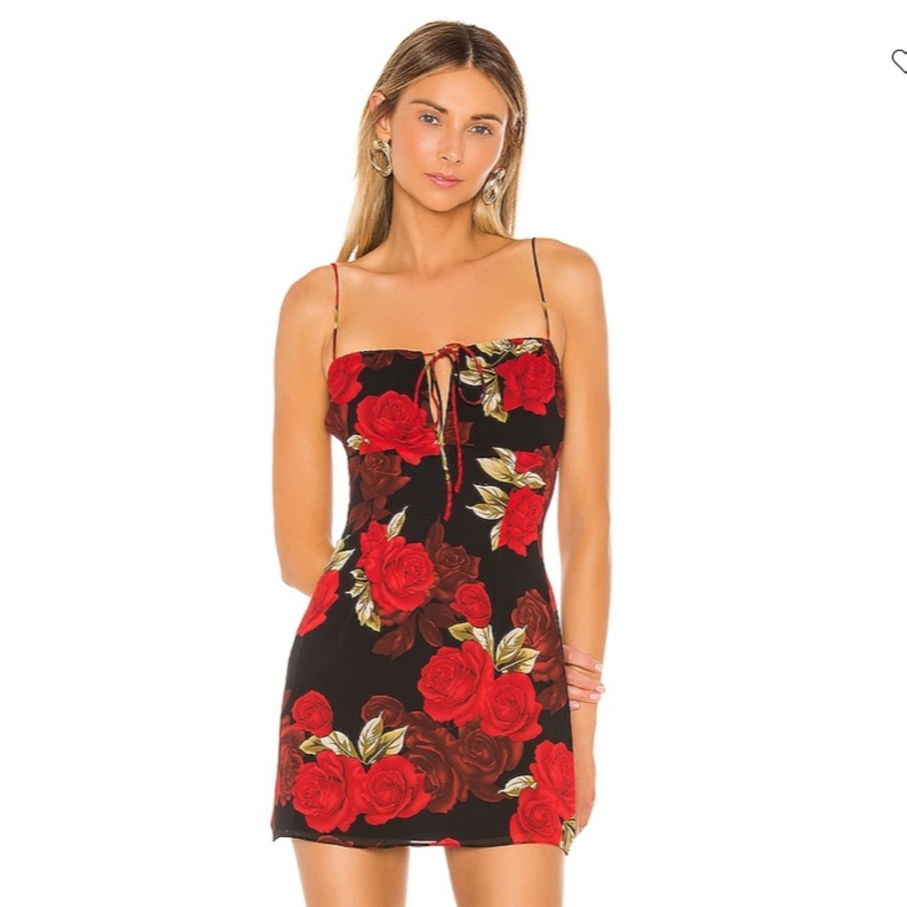 Revolve Sedale Floral Mini Dress